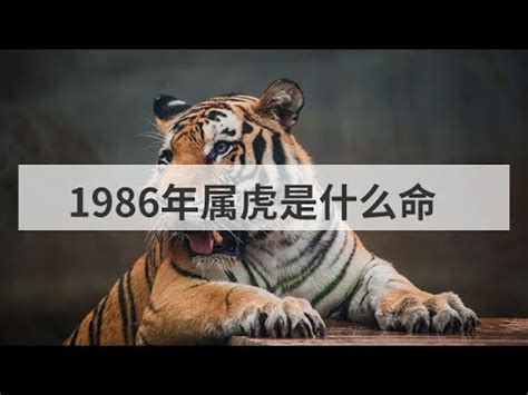 1986年屬什麼生肖|1986是民國幾年？1986是什麼生肖？1986幾歲？